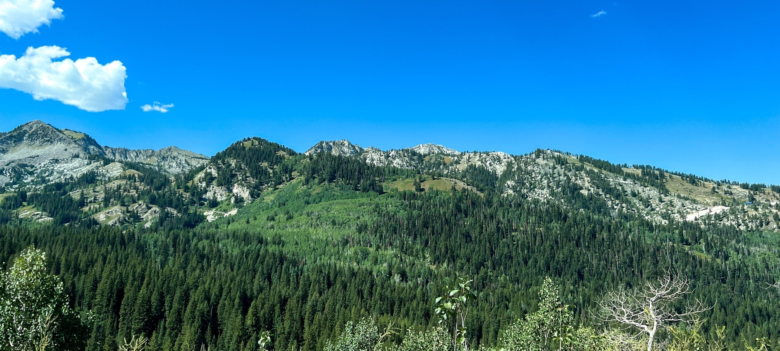 Mountains during summertime outside of Park City, Utah